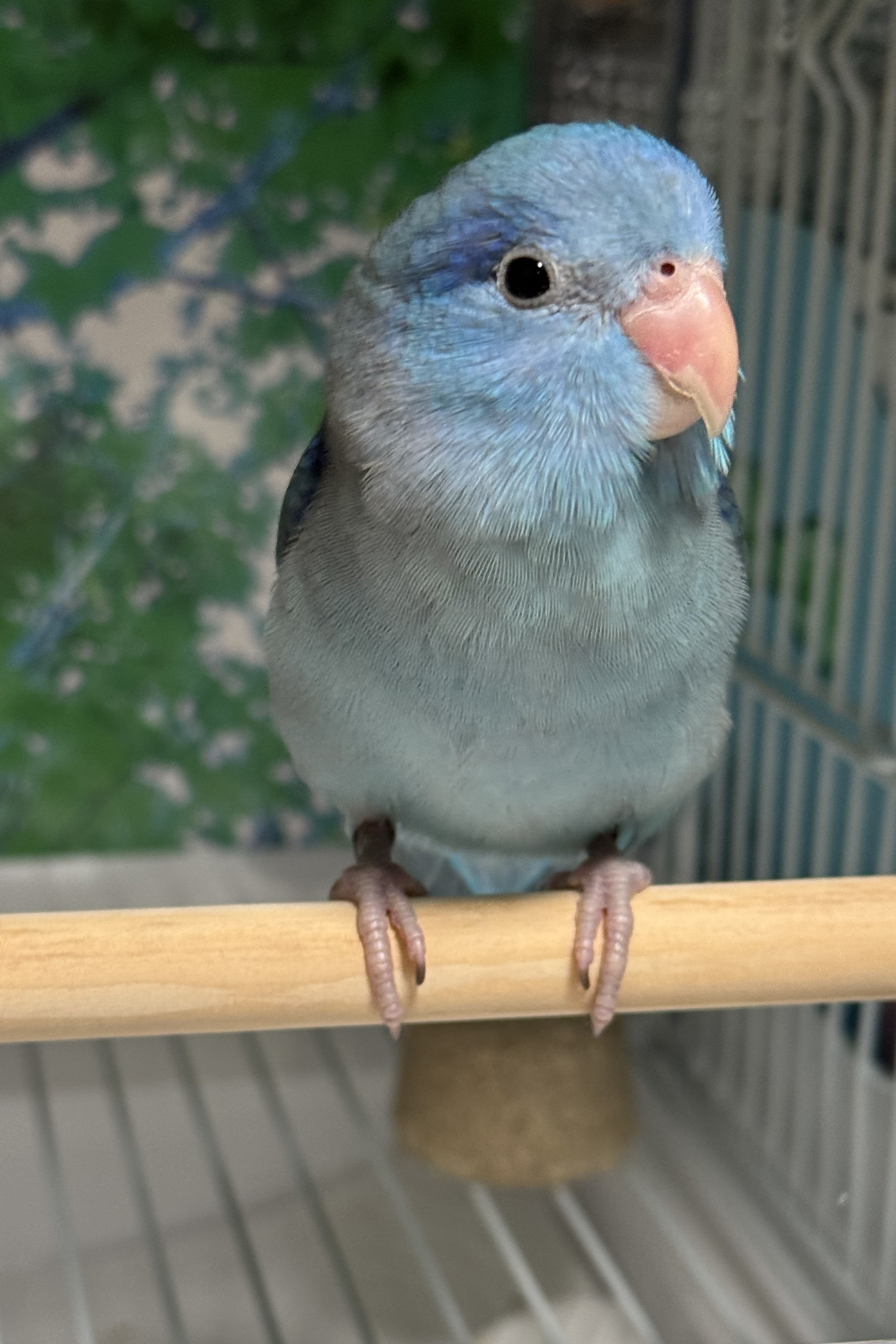 ユーザーの写真
