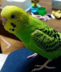 ユーザーの写真