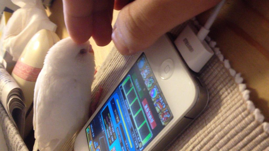 ユーザーの写真