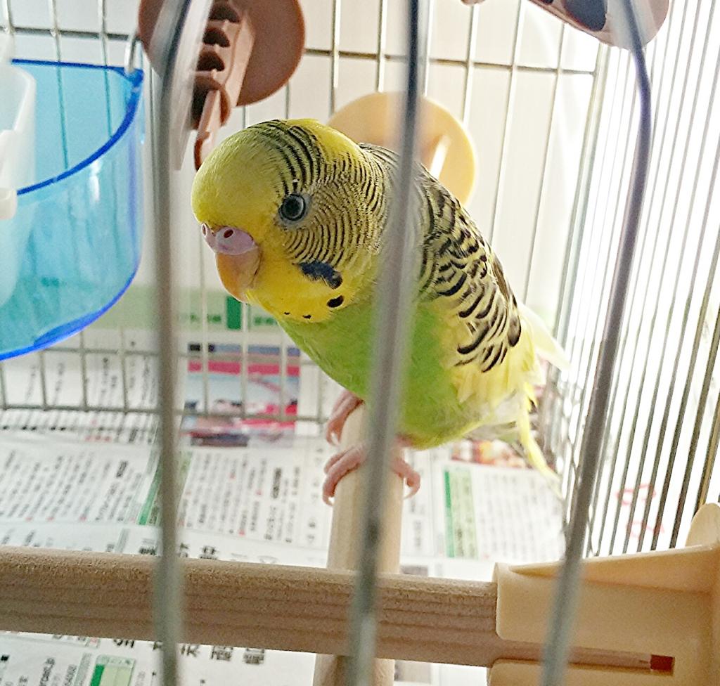 ユーザーの写真