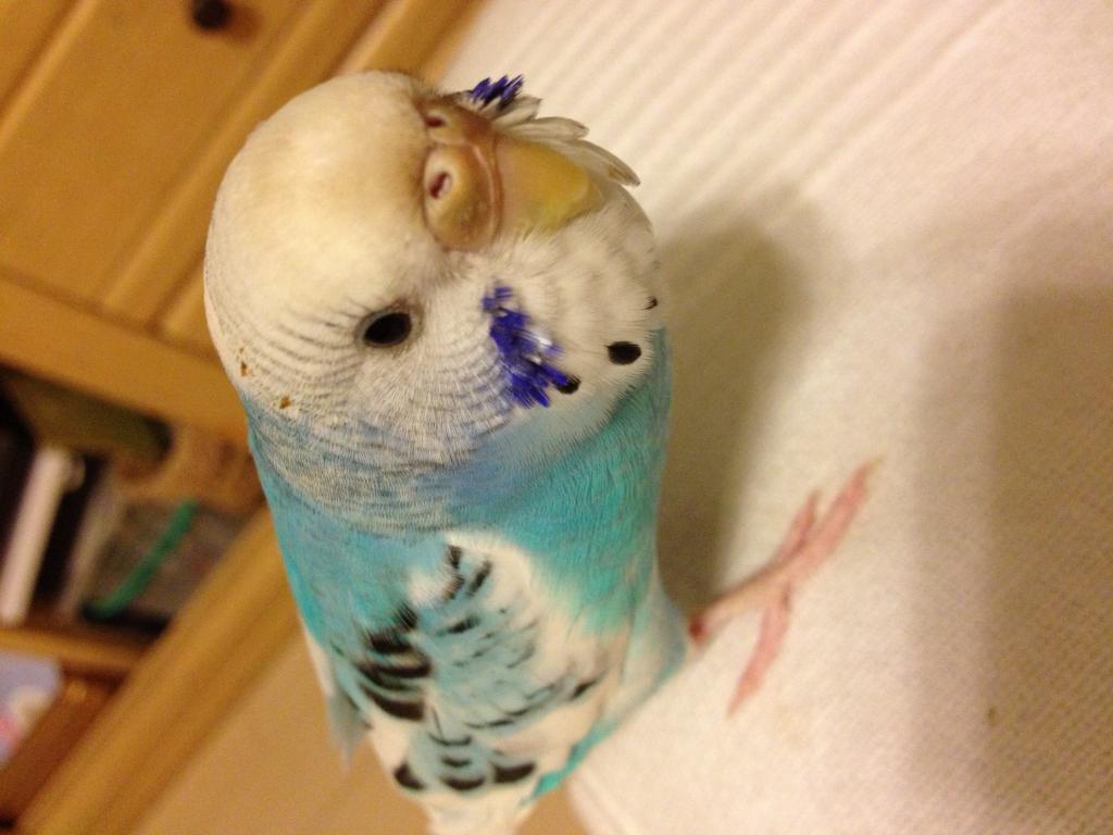 ユーザーの写真
