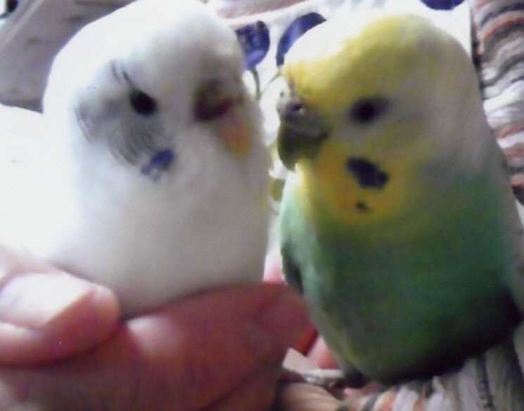 ユーザーの写真