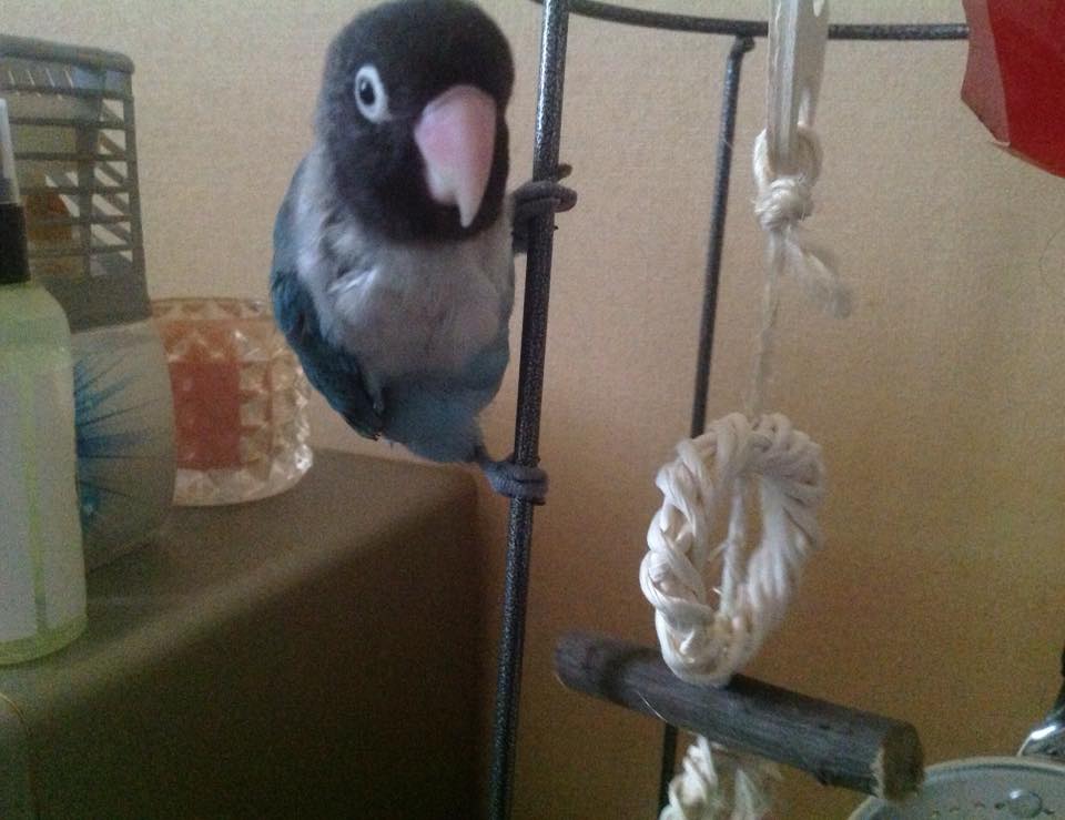 ユーザーの写真