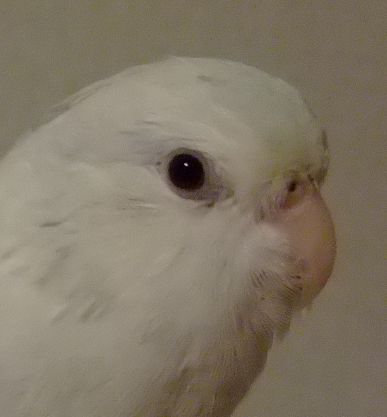 ユーザーの写真