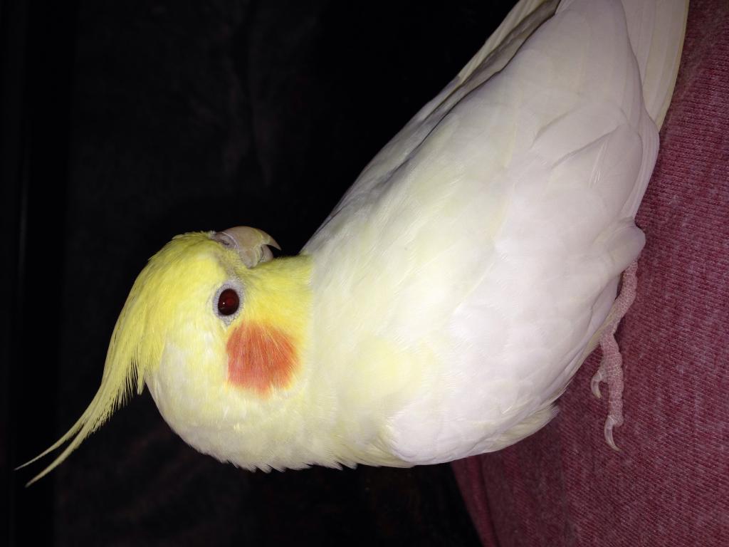 ユーザーの写真