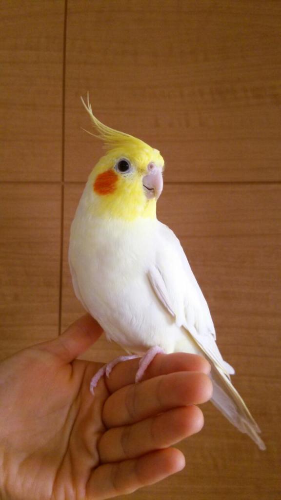 ユーザーの写真