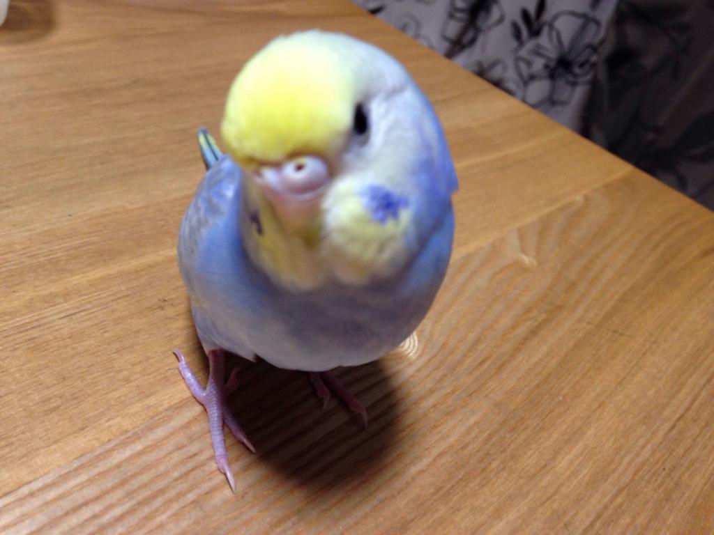 ユーザーの写真