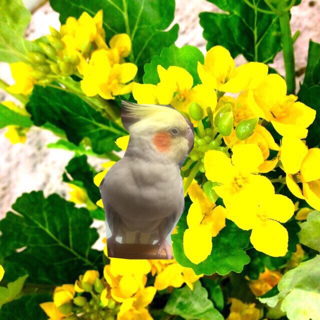 ユーザーの写真