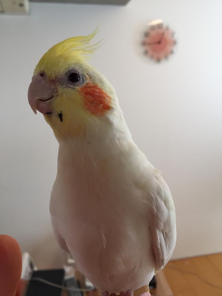 ユーザーの写真
