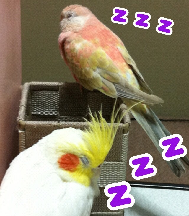 ユーザーの写真