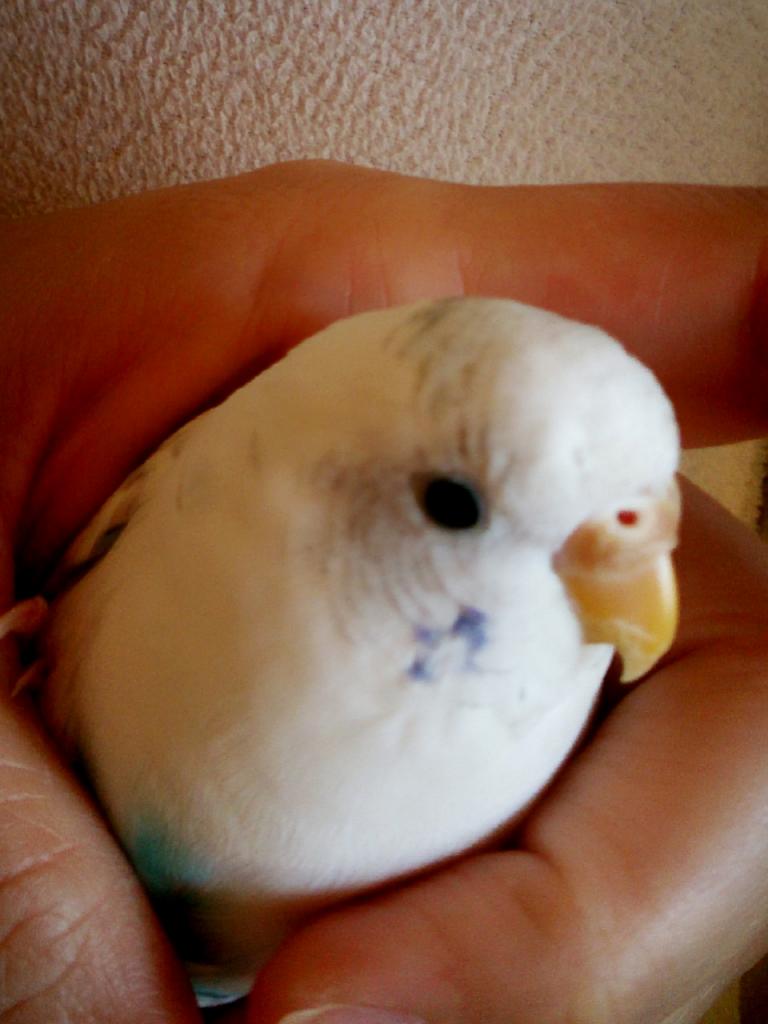 ユーザーの写真