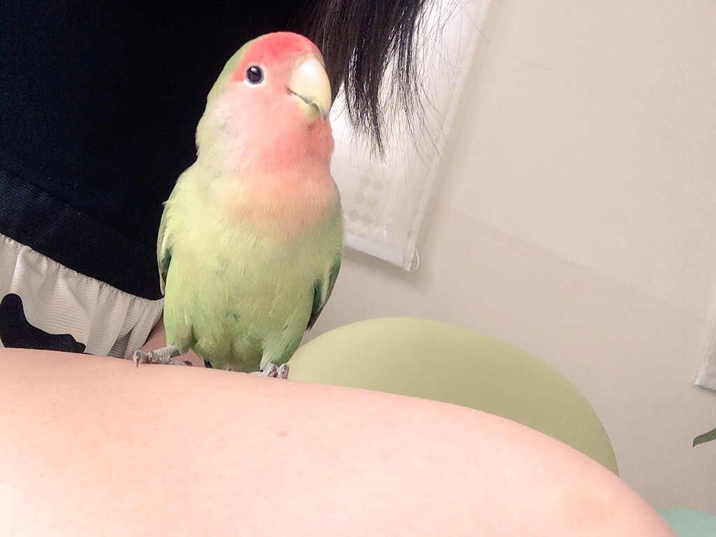ユーザーの写真