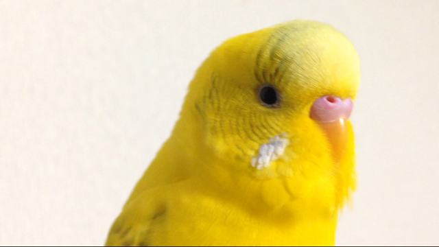 ユーザーの写真