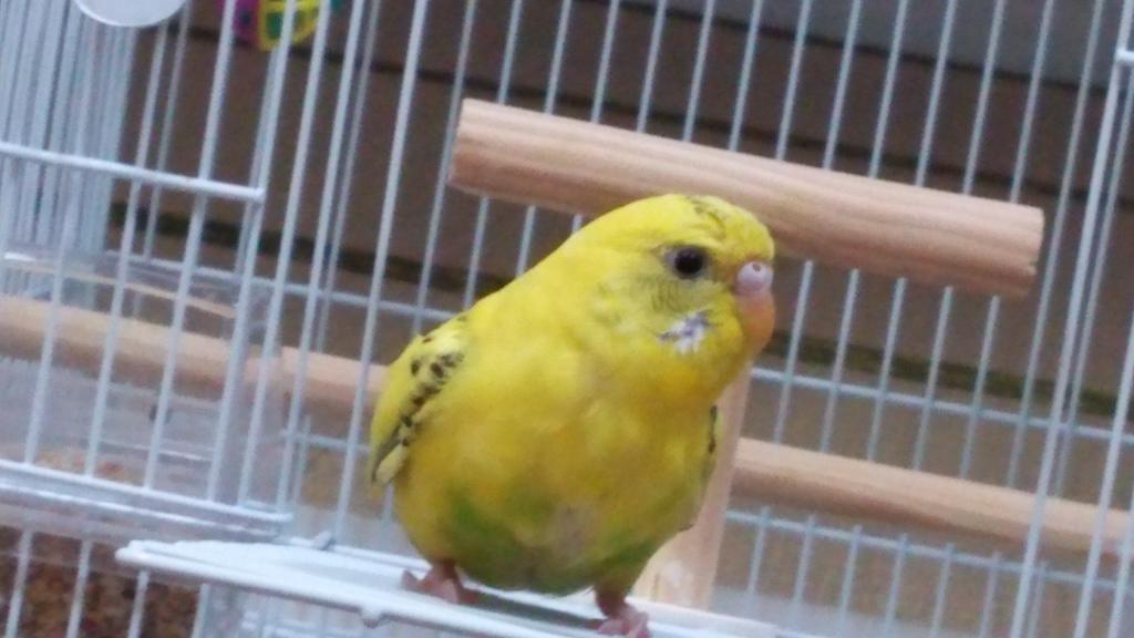 ユーザーの写真