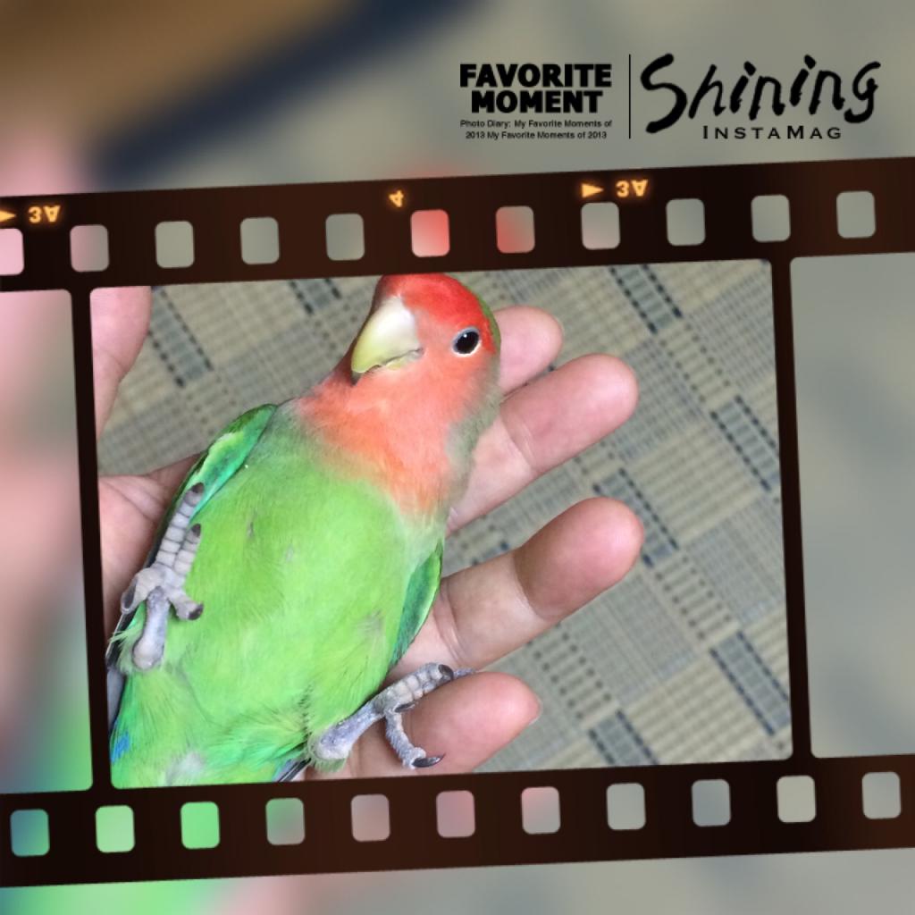 ユーザーの写真