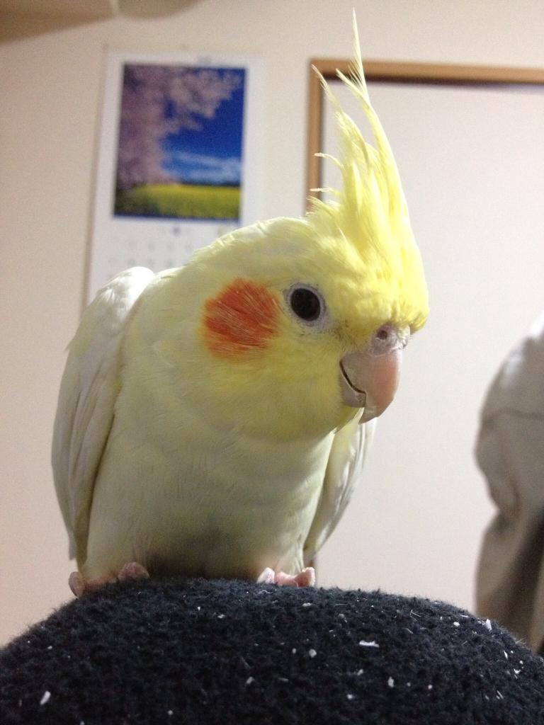 ユーザーの写真