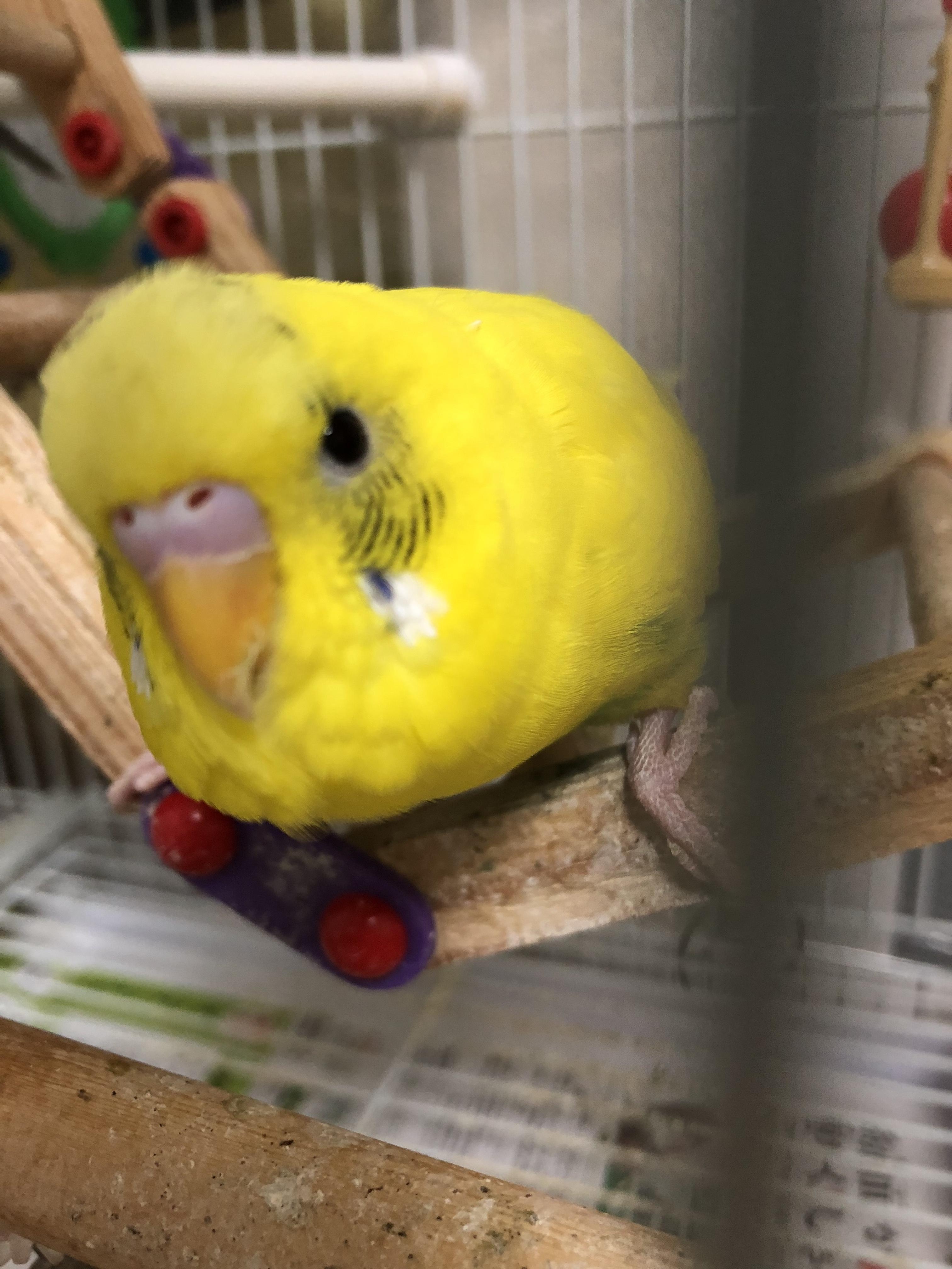 ユーザーの写真