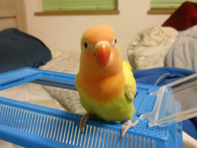 ユーザーの写真