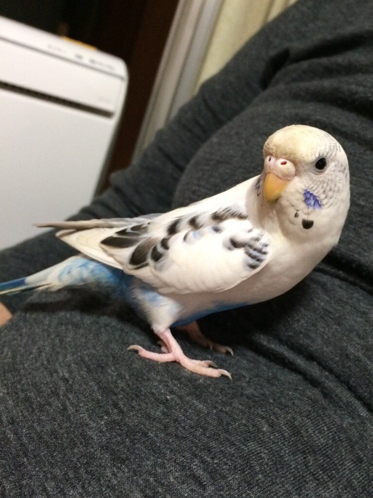 ユーザーの写真