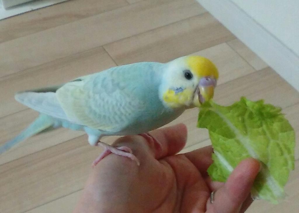 ユーザーの写真