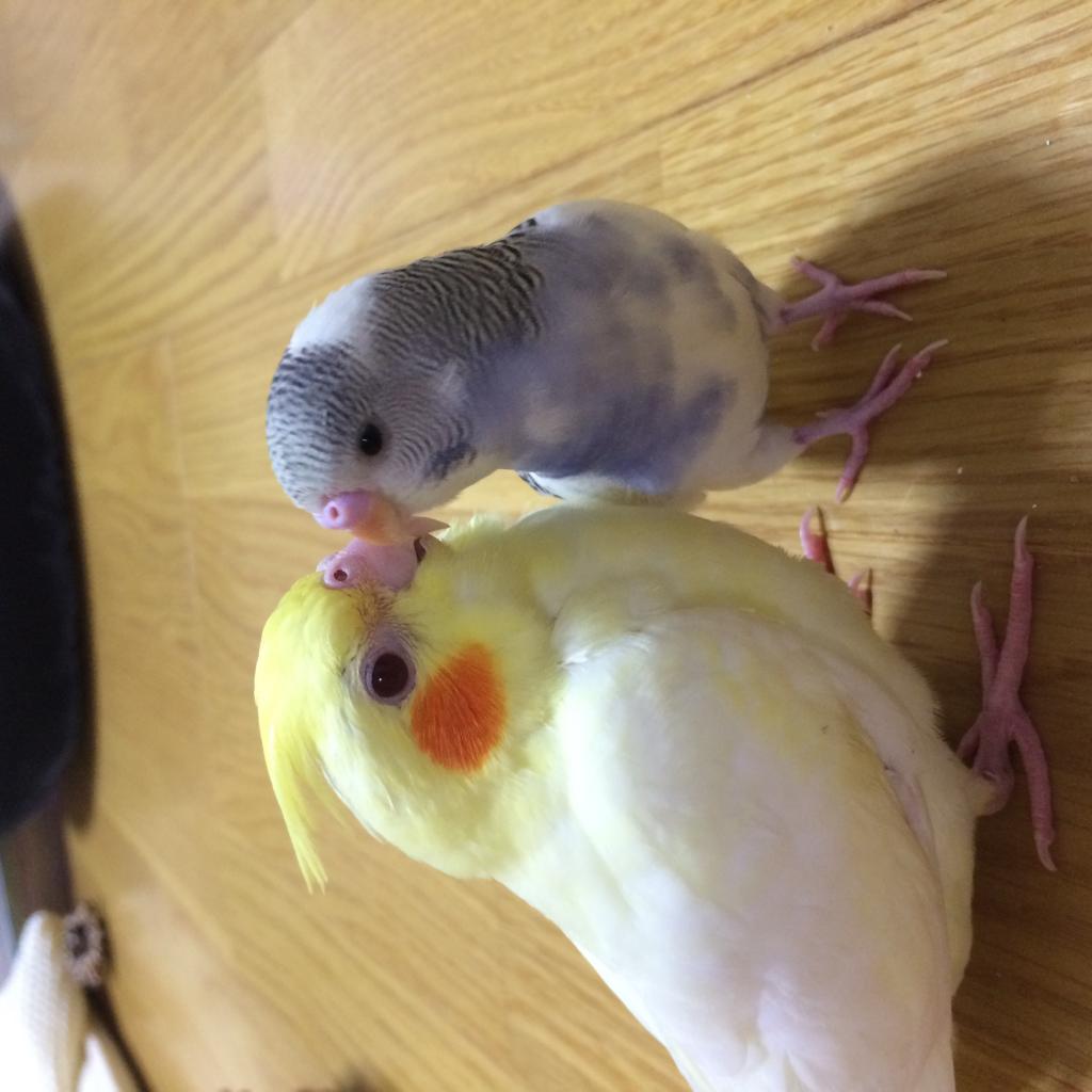 ユーザーの写真