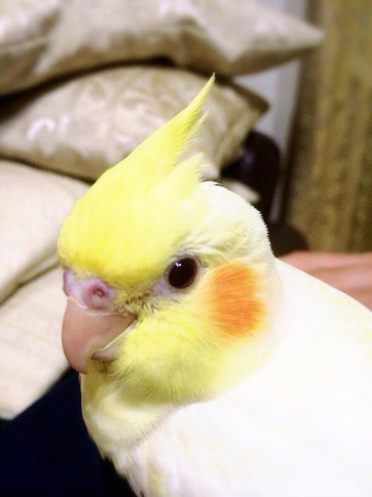 ユーザーの写真
