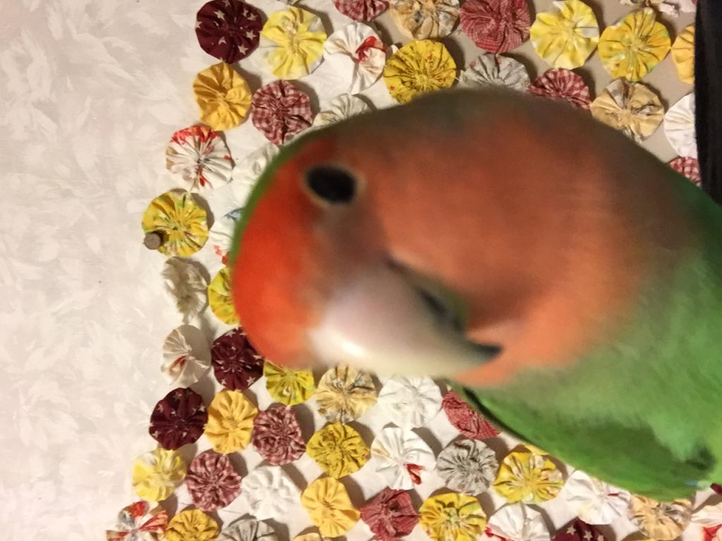 ユーザーの写真