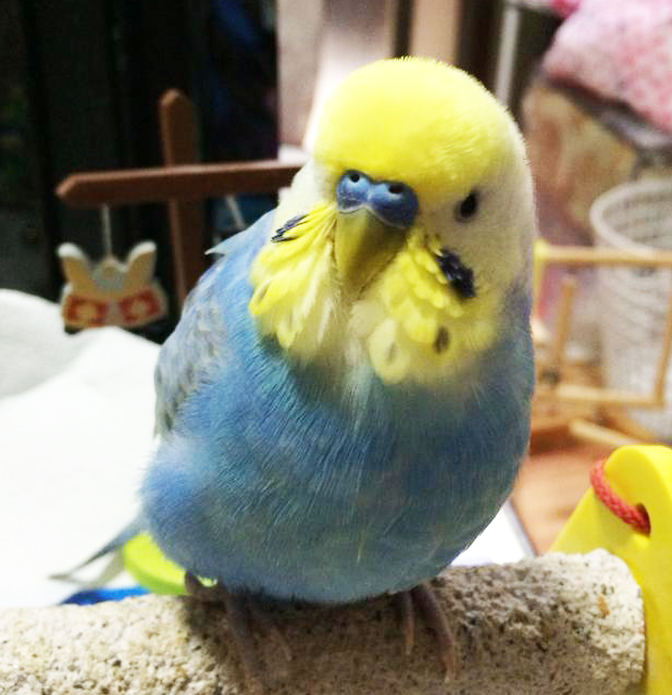 ユーザーの写真