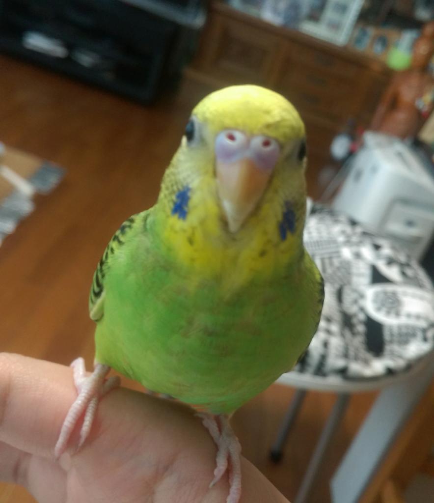 ユーザーの写真