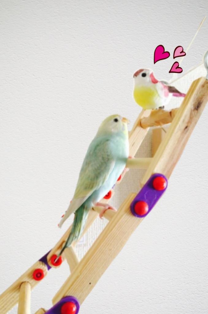 ユーザーの写真