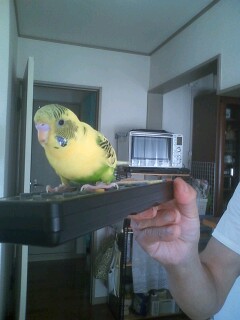 ユーザーの写真