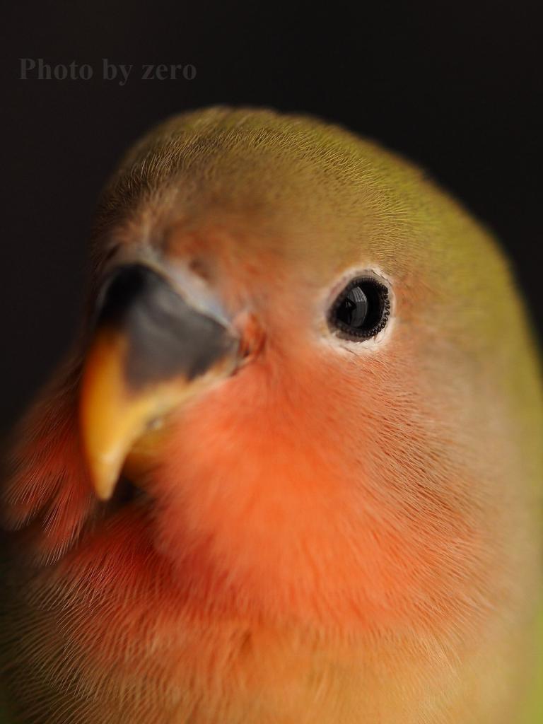 ユーザーの写真