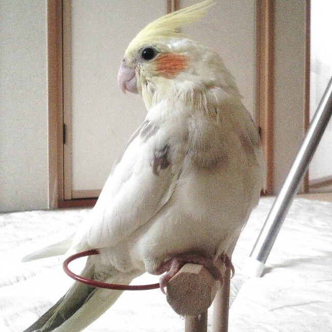 ユーザーの写真