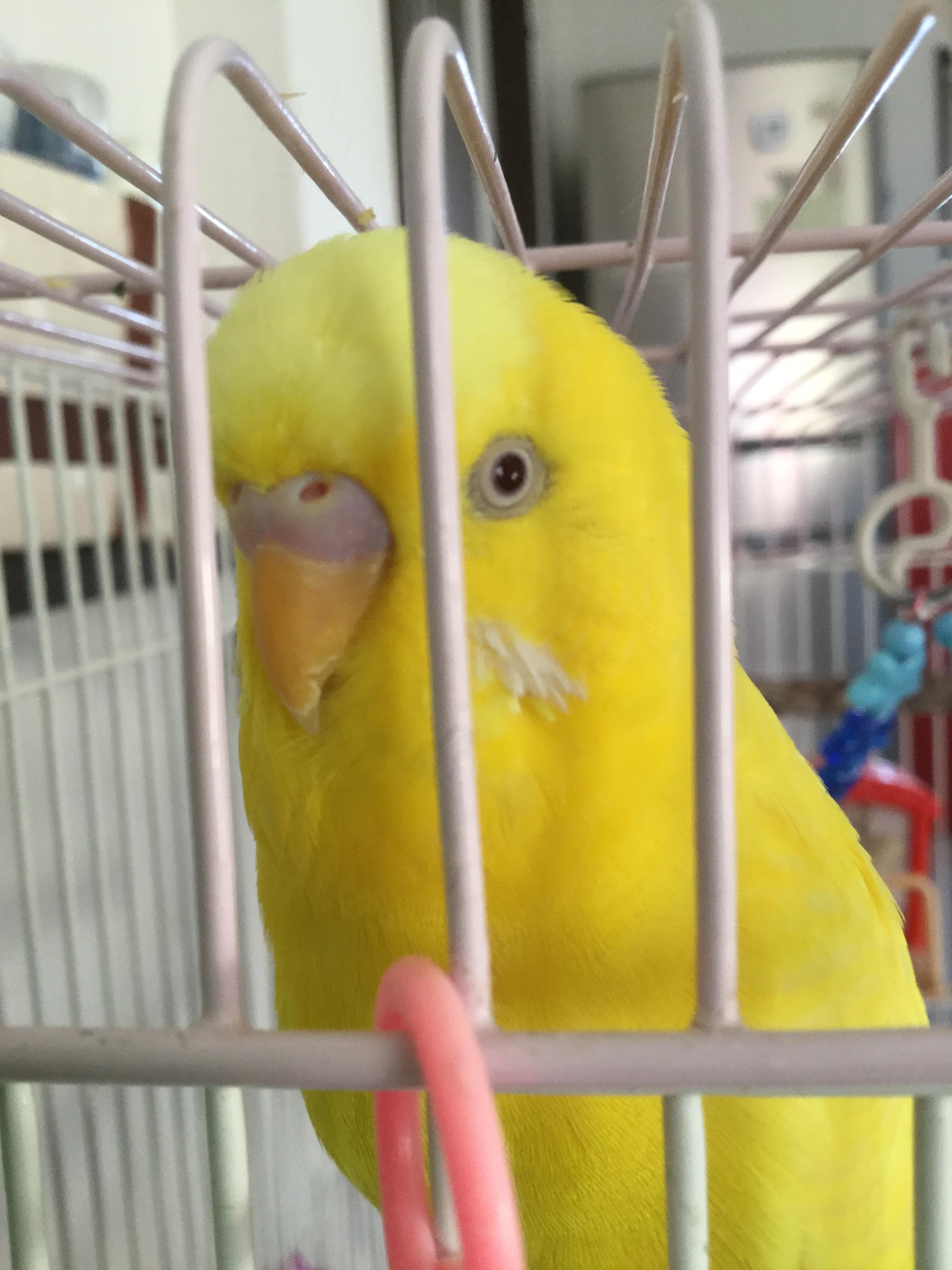 ユーザーの写真