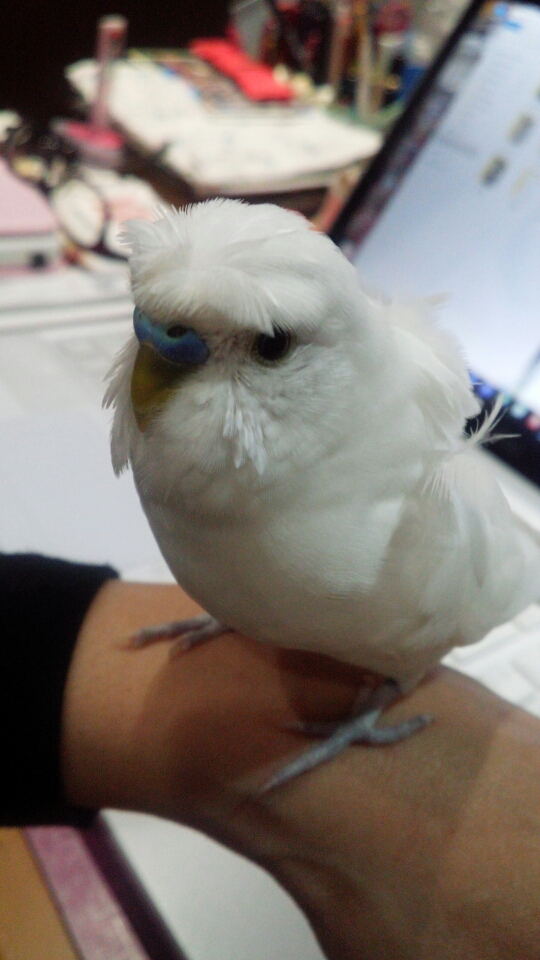 ユーザーの写真