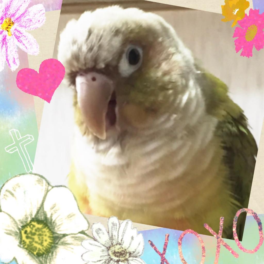 ユーザーの写真
