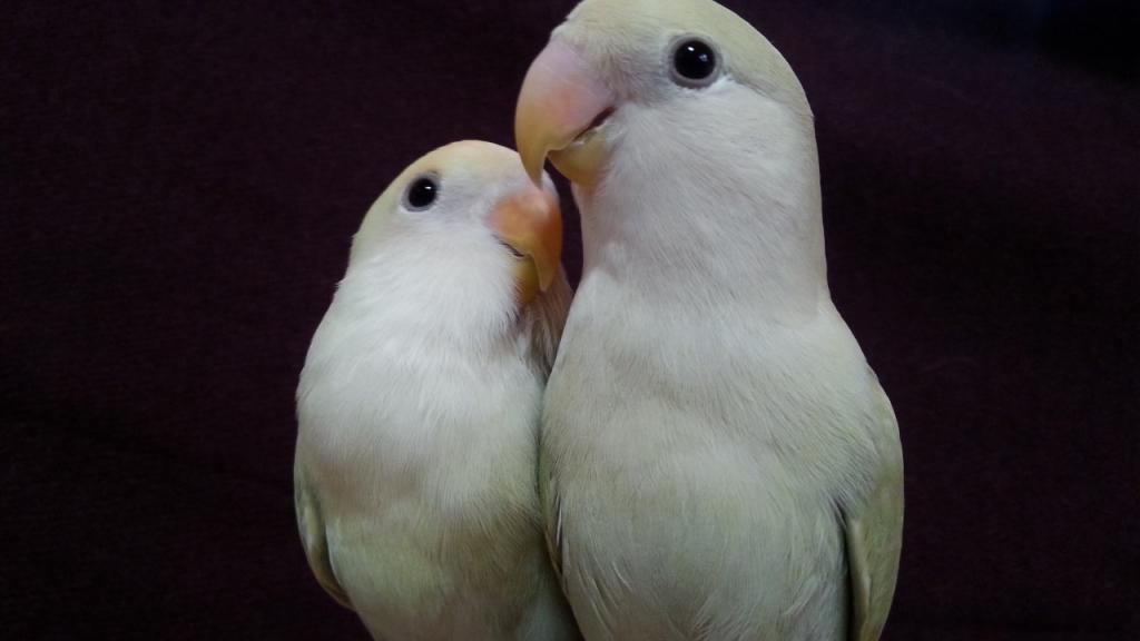 ユーザーの写真