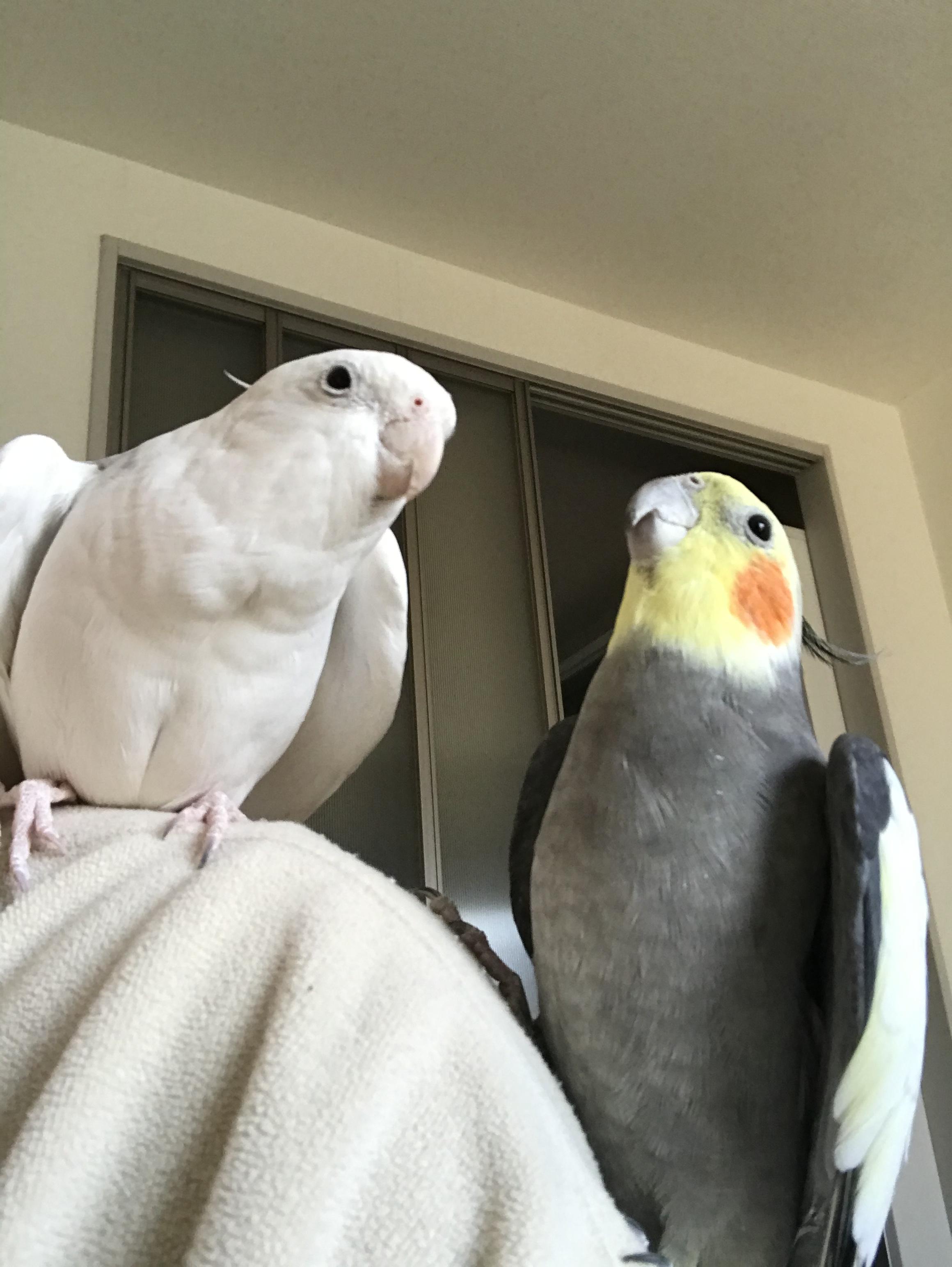 ユーザーの写真