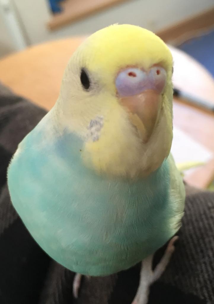 ユーザーの写真