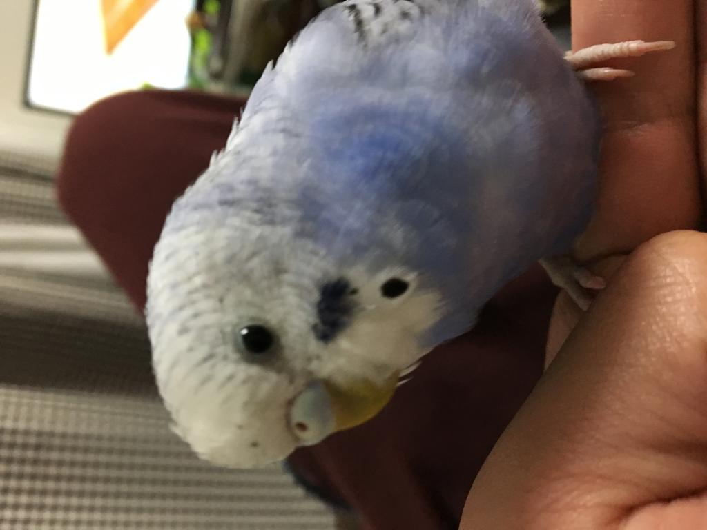 ユーザーの写真