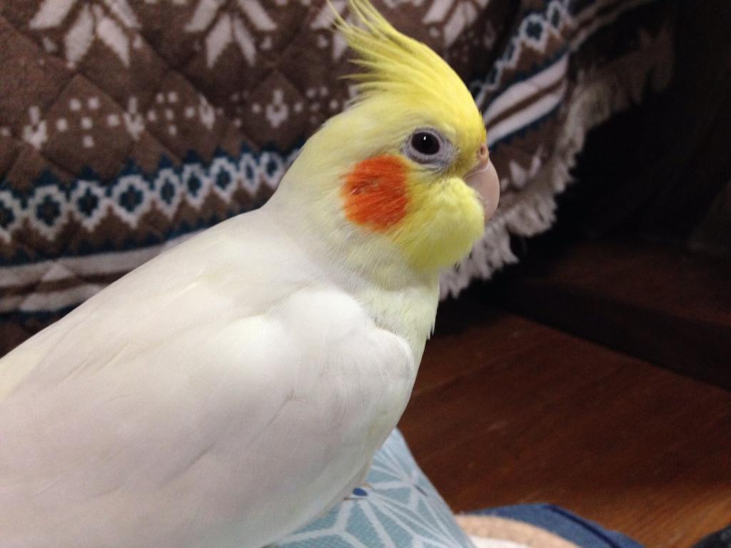ユーザーの写真