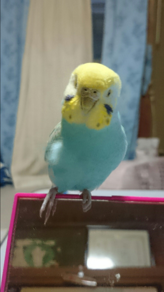 ユーザーの写真