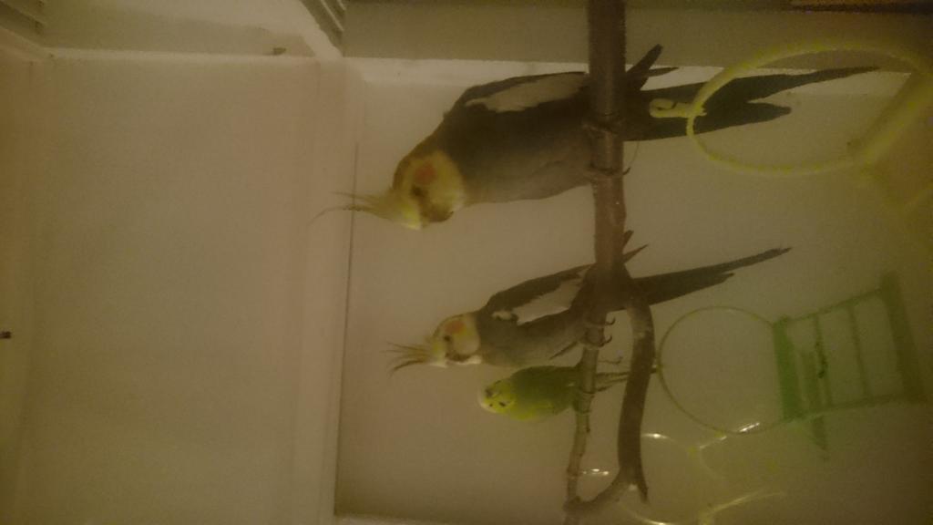 ユーザーの写真