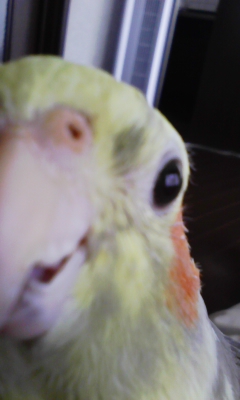 ユーザーの写真