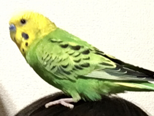ユーザーの写真