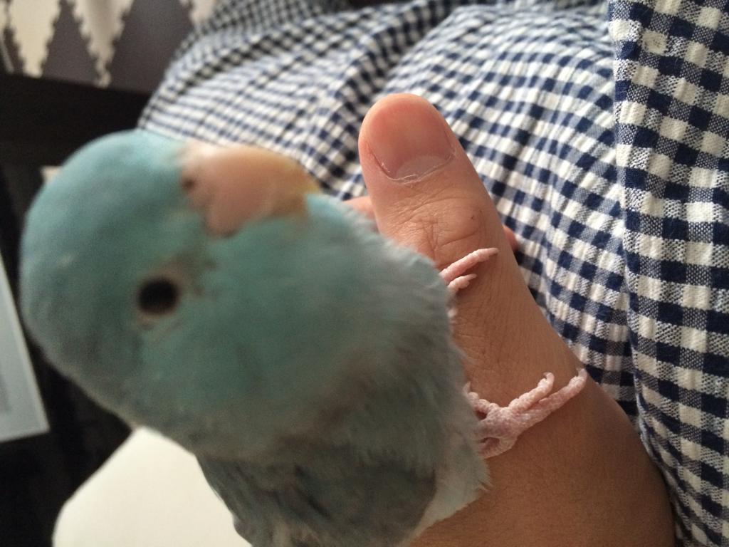 ユーザーの写真