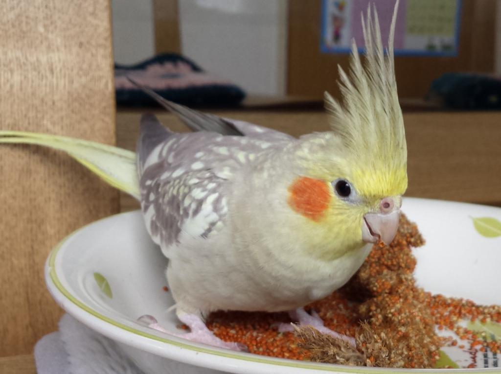 ユーザーの写真