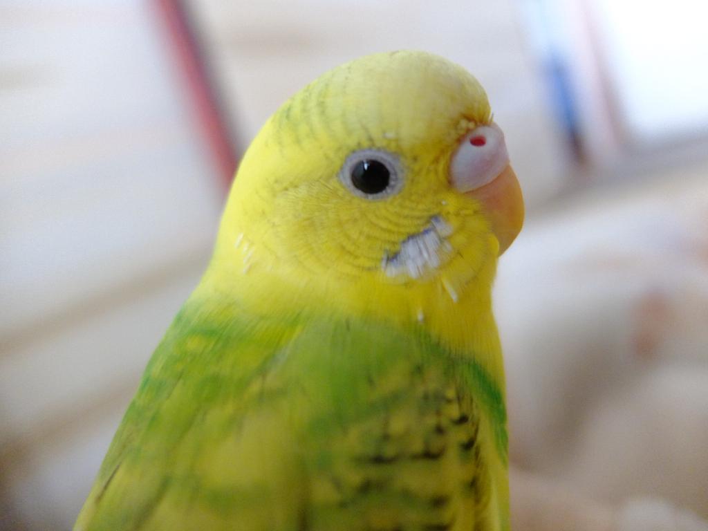 ユーザーの写真