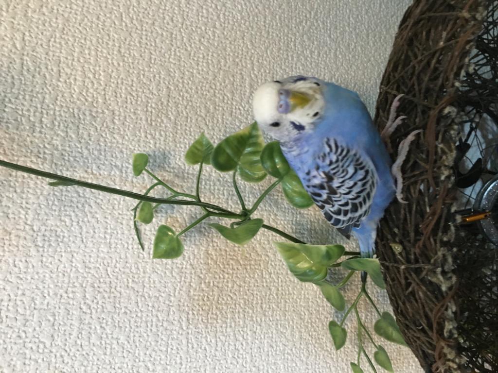ユーザーの写真