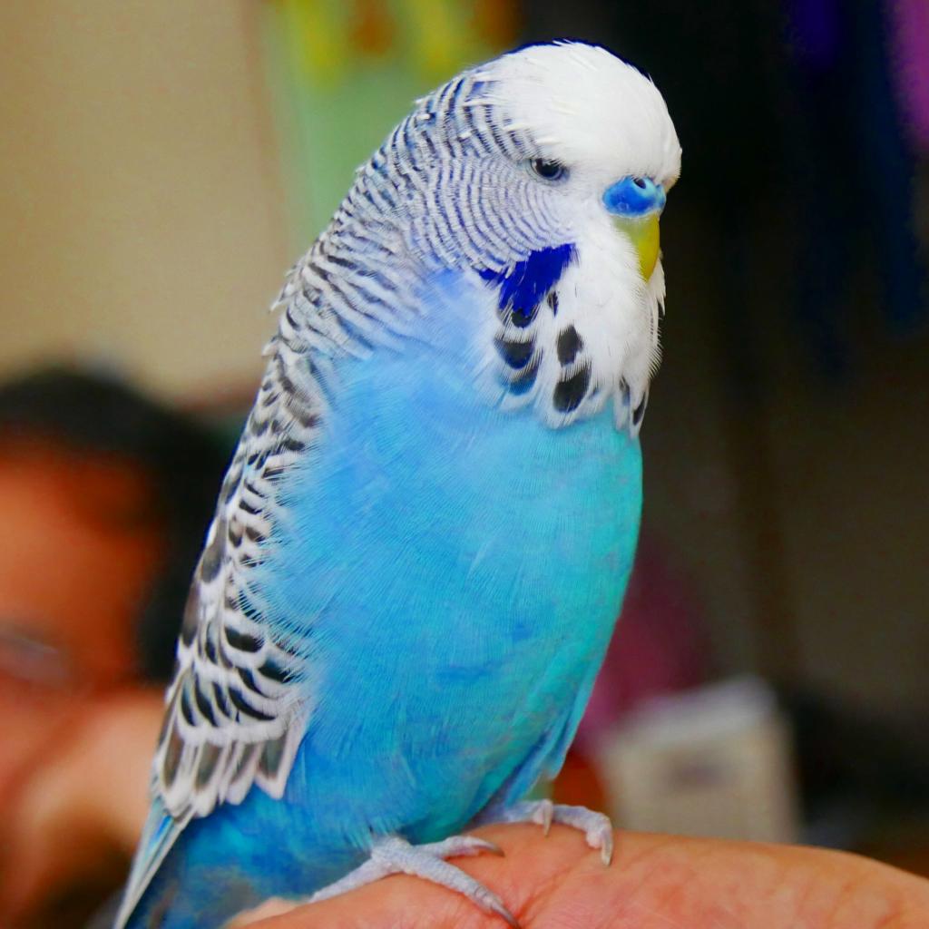 ユーザーの写真